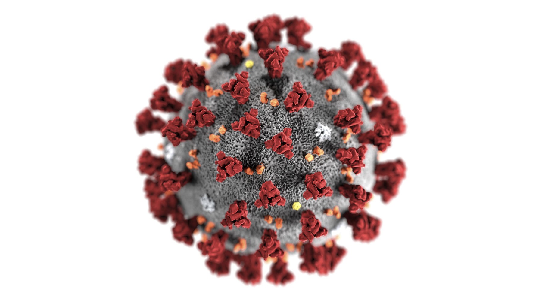 Dailystorm - Ученые определили дополнительные симптомы коронавируса