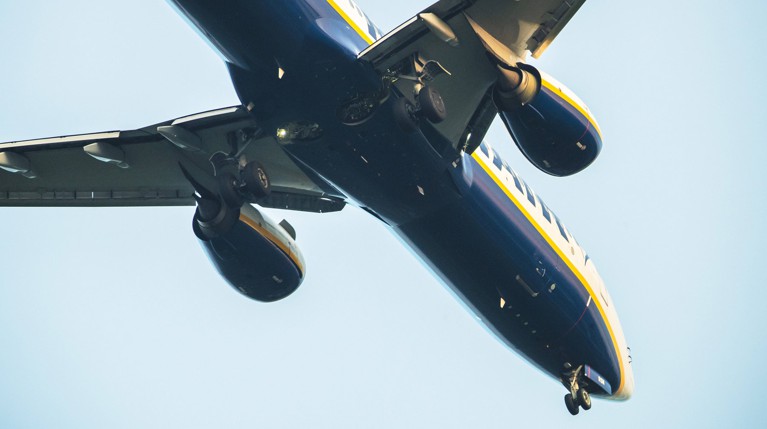 СМИ: Минск известил пилотов Ryanair о бомбе за полчаса до письма от «солдат ХАМАС» — Daily Storm