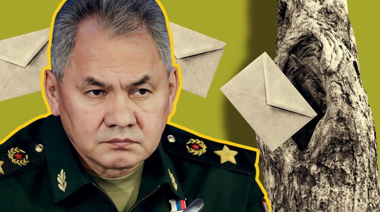 Как партизаны — письма в дупло: Шойгу удивило отсутствие компьютера в военкомате — Daily Storm