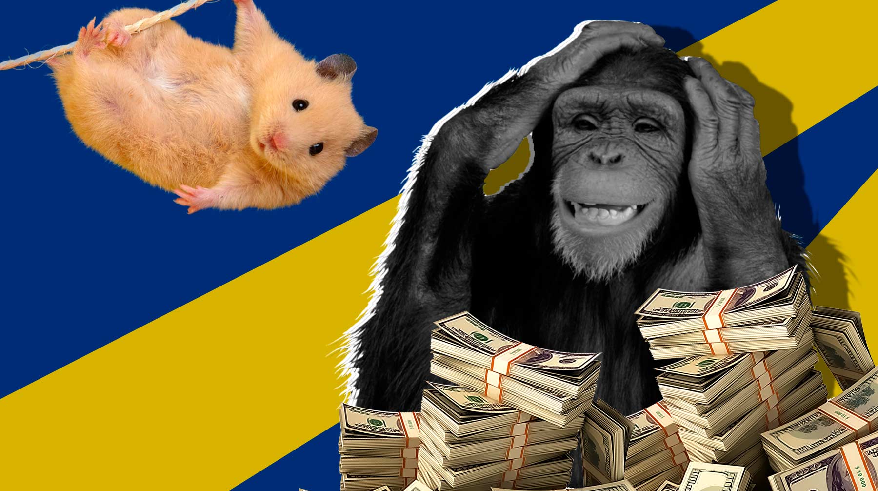 Без хомяков и обезьян — никуда: создатели вакцин против COVID-19 потратили почти полмиллиарда рублей на животных