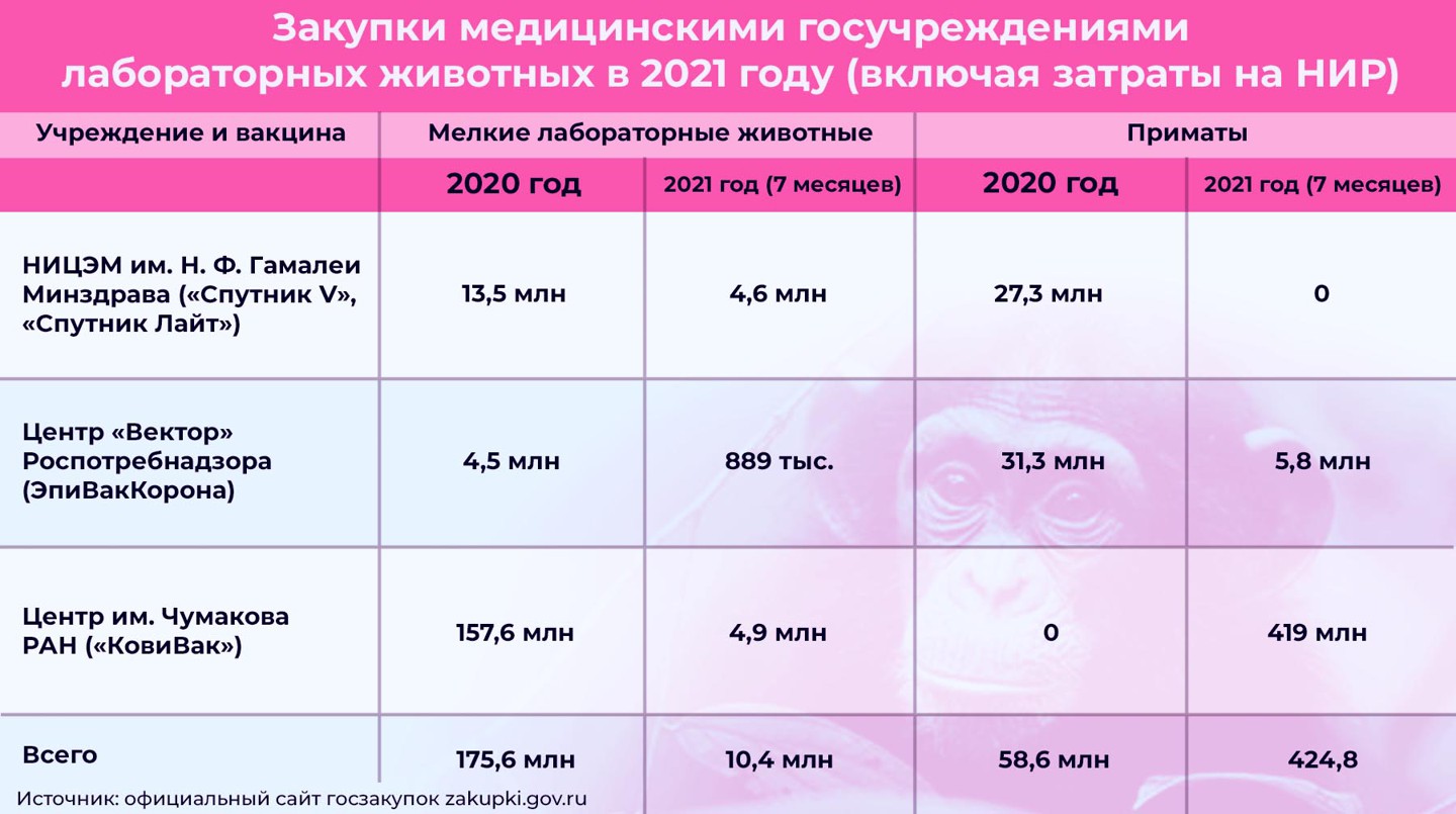 Инфографика:  Daily Storm