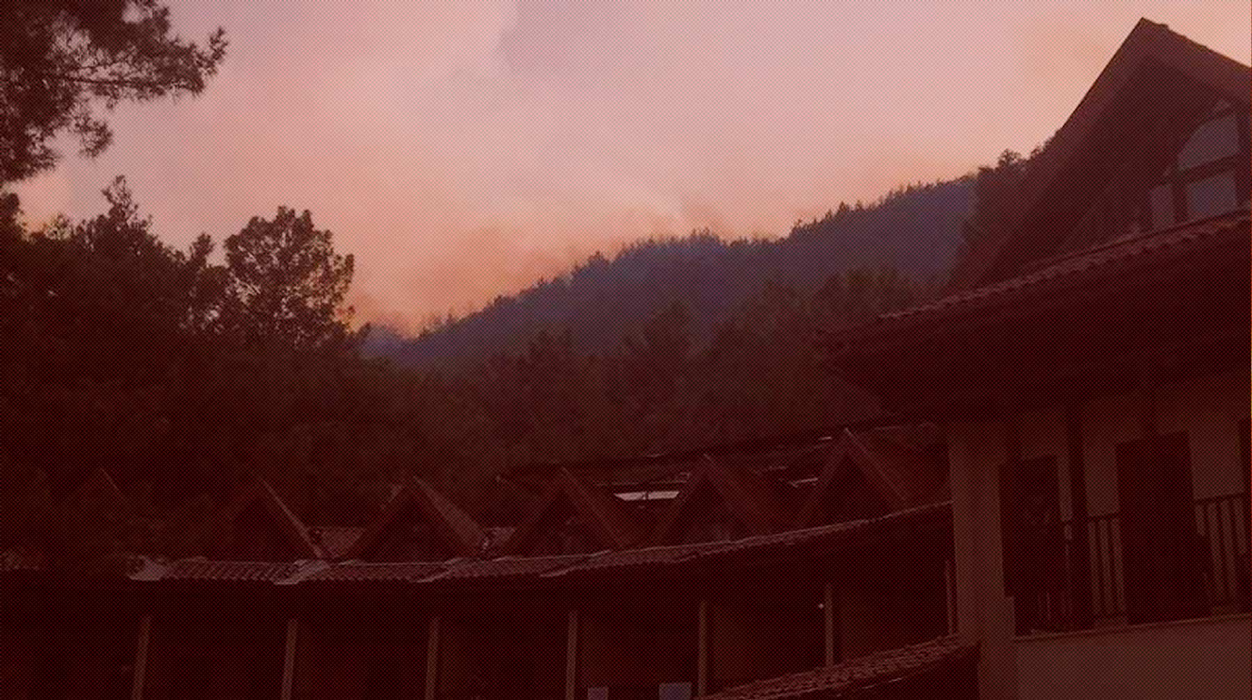 Из-за лесных пожаров пострадали более 180 человек по всей стране Фото:  Daily Storm