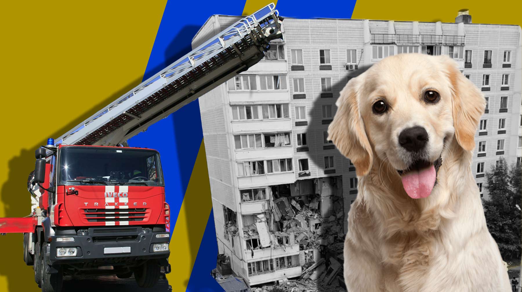 Dailystorm - Спасла прогулка с собакой: во взорвавшемся доме в Ногинске жил глава обслуживающей компании