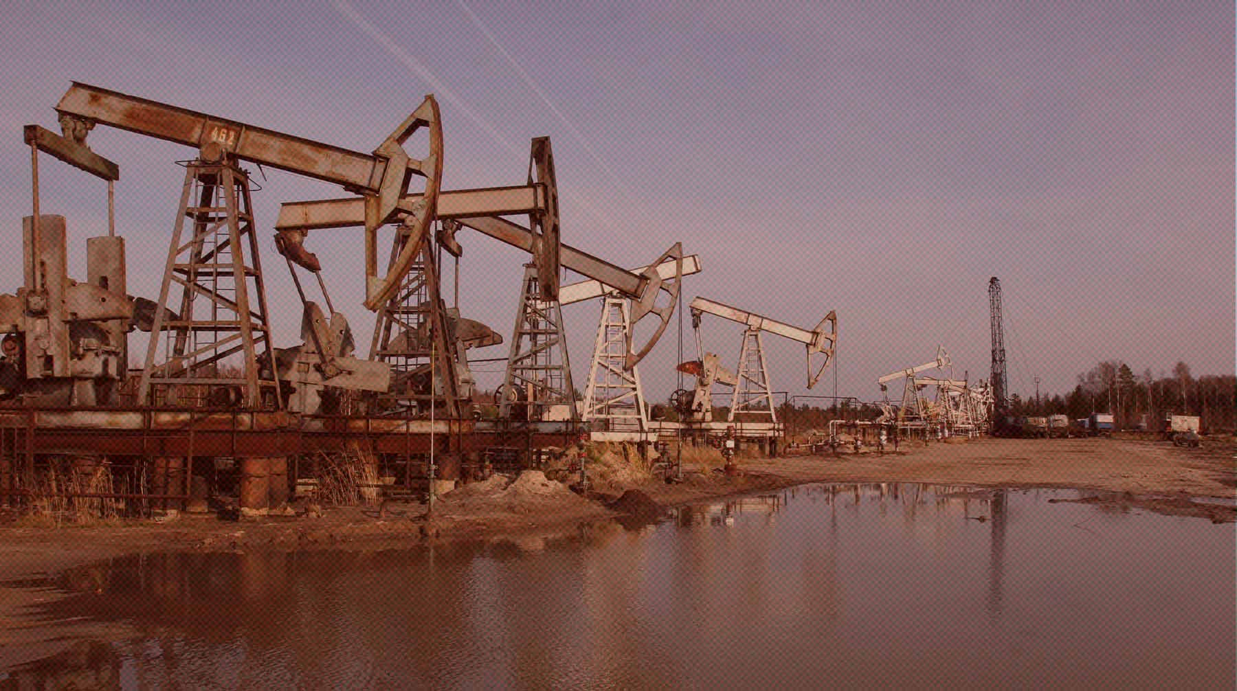 Наибольшими перспективами в плане разведки нефтяных месторождений обладает Западная Сибирь, но нужны инвестиции Фото:  Global Look Press / Николай Гынгазов