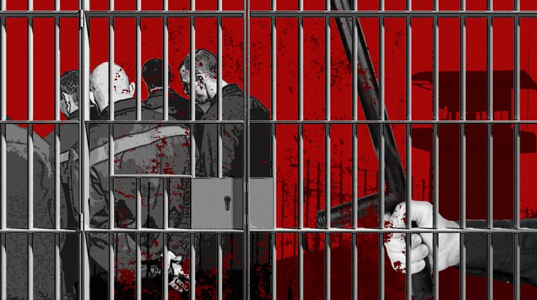 Ад за решеткой. Исповедь бывшего заключенного о колонии, где был Навальный — Daily Storm