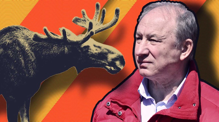 Тактика по спасению Рашкина. Юристы и политтехнологи оценили заявления депутата и силовиков — Daily Storm