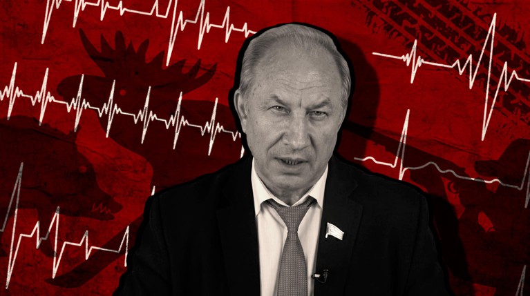 «Он прекрасно понимал, что это лось»: профайлеры оценили монолог «жертвы стечения обстоятельств» — Daily Storm