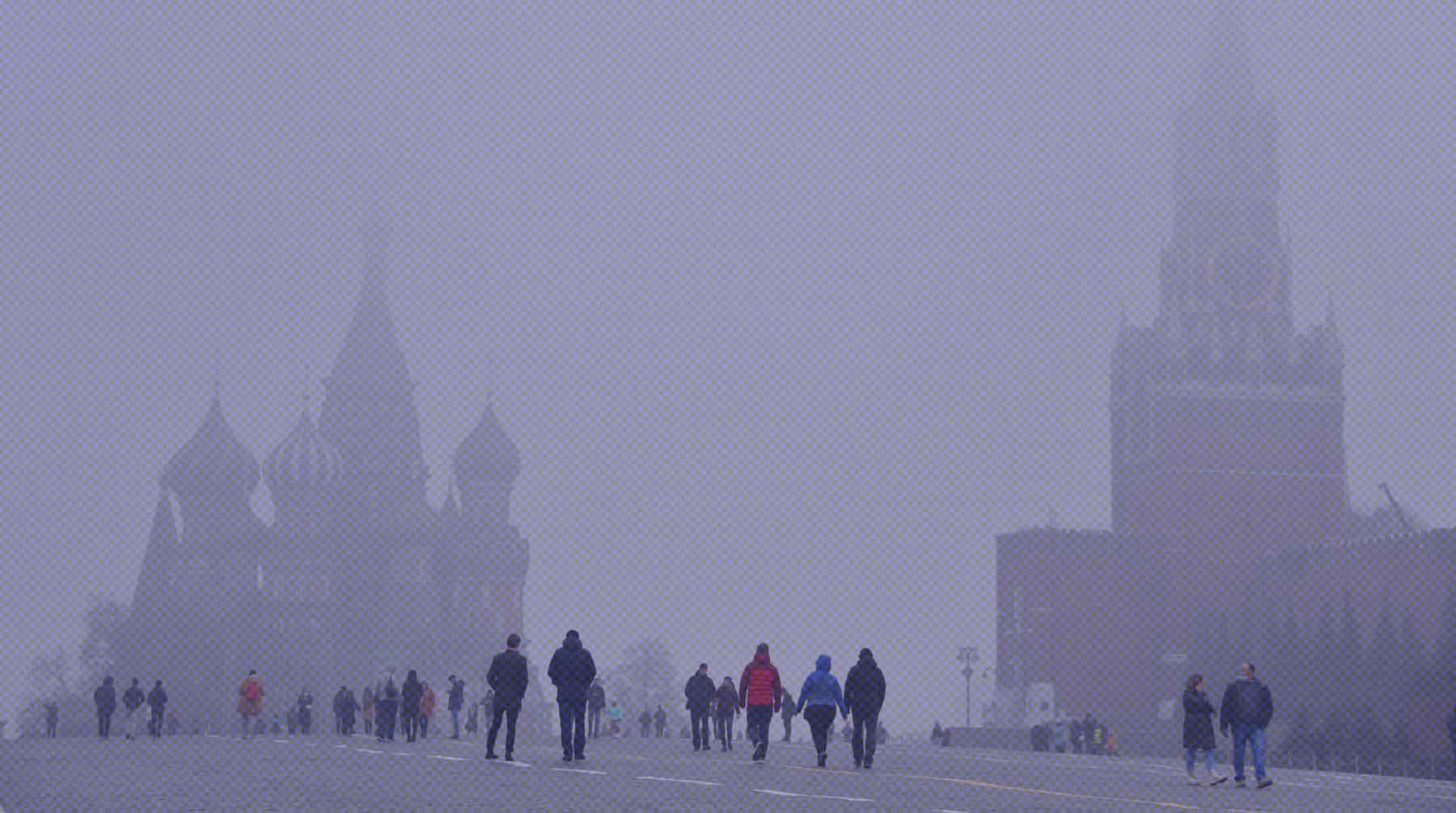 В Москве из-за штормового предупреждения 30 ноября были закрыты парк Горького и зоопарк Фото: Global Look Press / Комсомольская правда