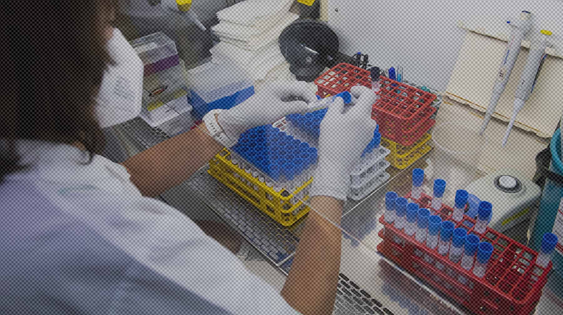 Dailystorm - «Решили прекратить пандемию»: вирусолог заявил об искусственном происхождении штамма «омикрон»