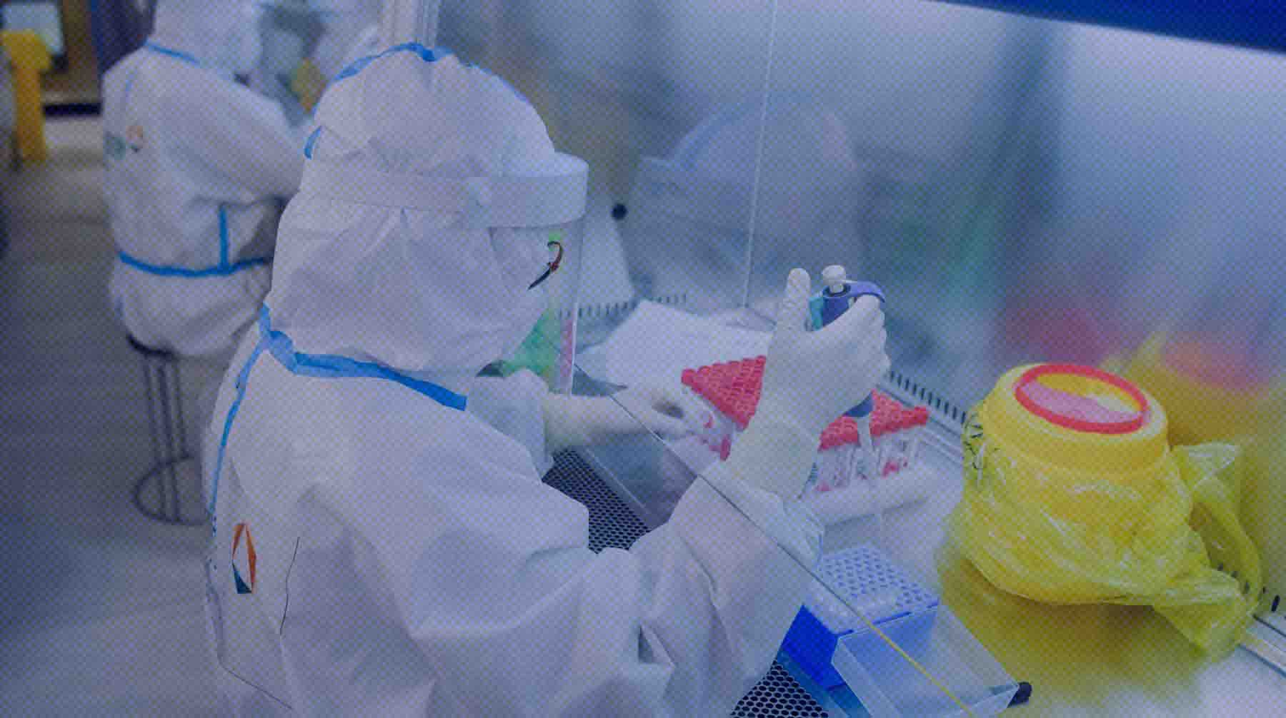 Dailystorm - Минобороны сообщило, что в лабораториях на Украине проводились эксперименты с образцами коронавируса летучих мышей