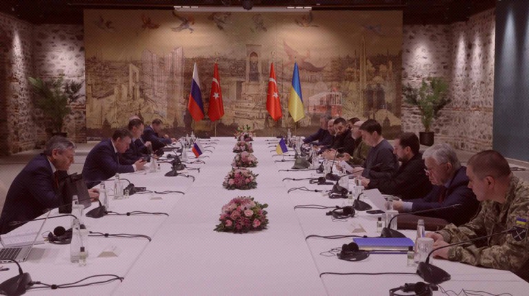 Мирный договор, встреча Путина и Зеленского, статус ЛНР и ДНР. Что обсуждали стороны на переговорах в Стамбуле — Daily Storm