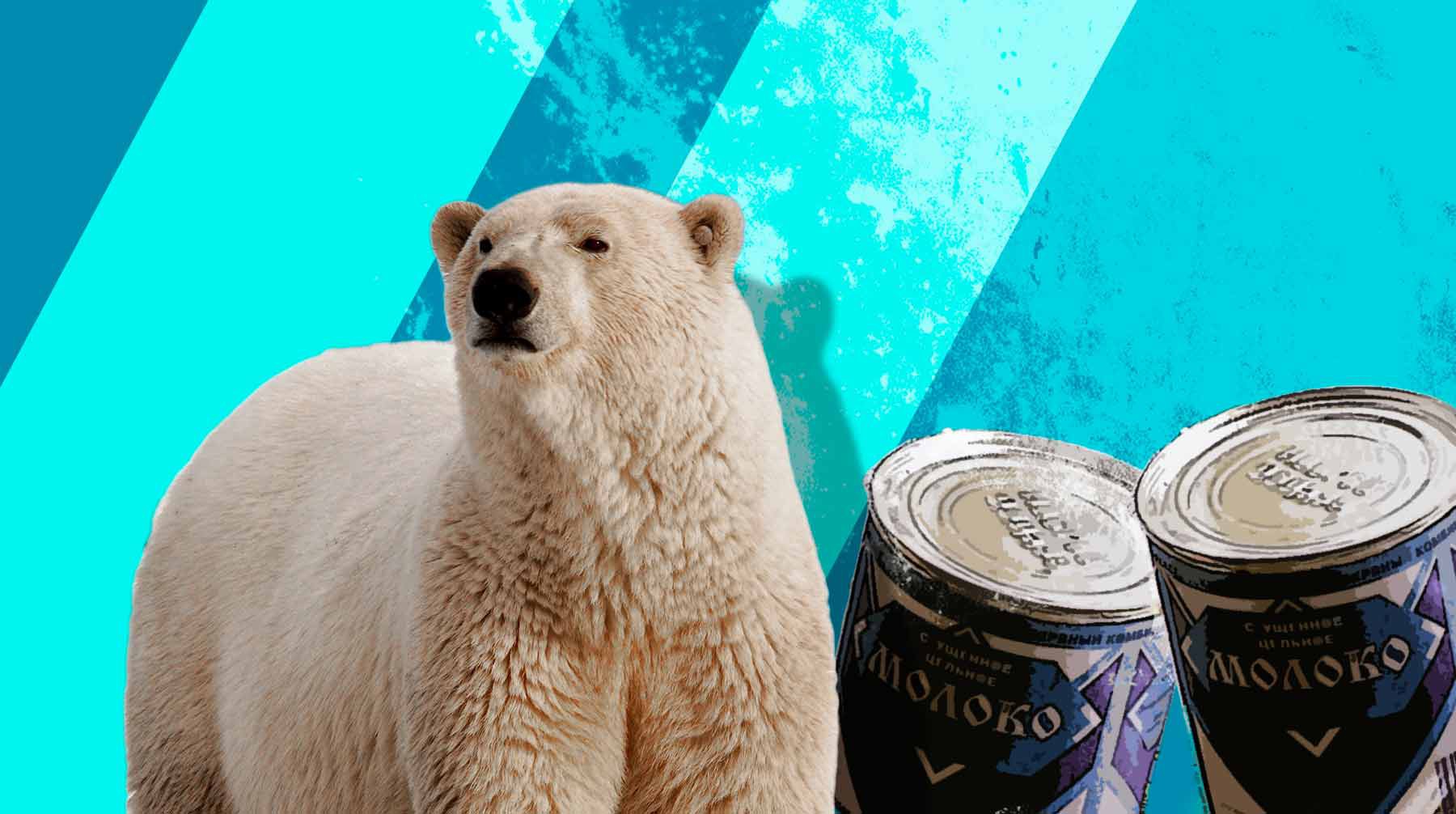 Dailystorm - «Не ест вторые сутки, а после спасения убежит на волю»: зоозащитники рассказали о медведе с банкой сгущенки в пасти
