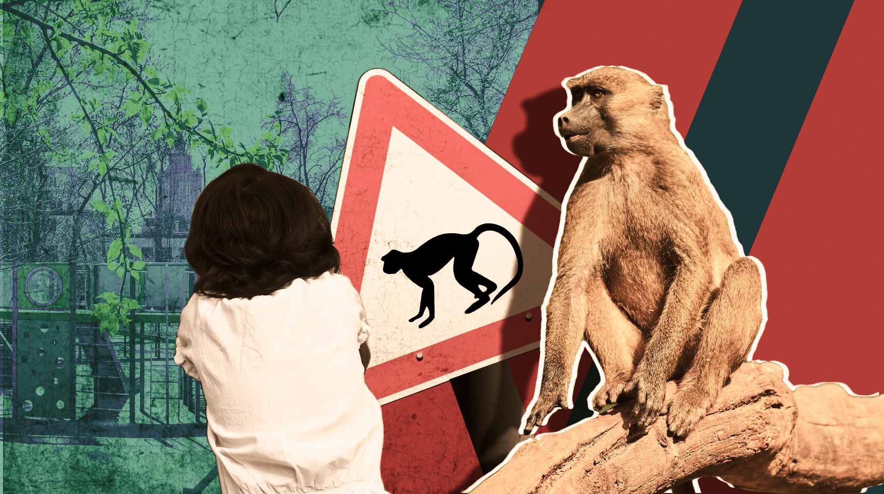 Dailystorm - «Однажды она уже сбегала»: жительница Подмосковья рассказала об обезьяне, которая чуть не убила двухлетнюю девочку