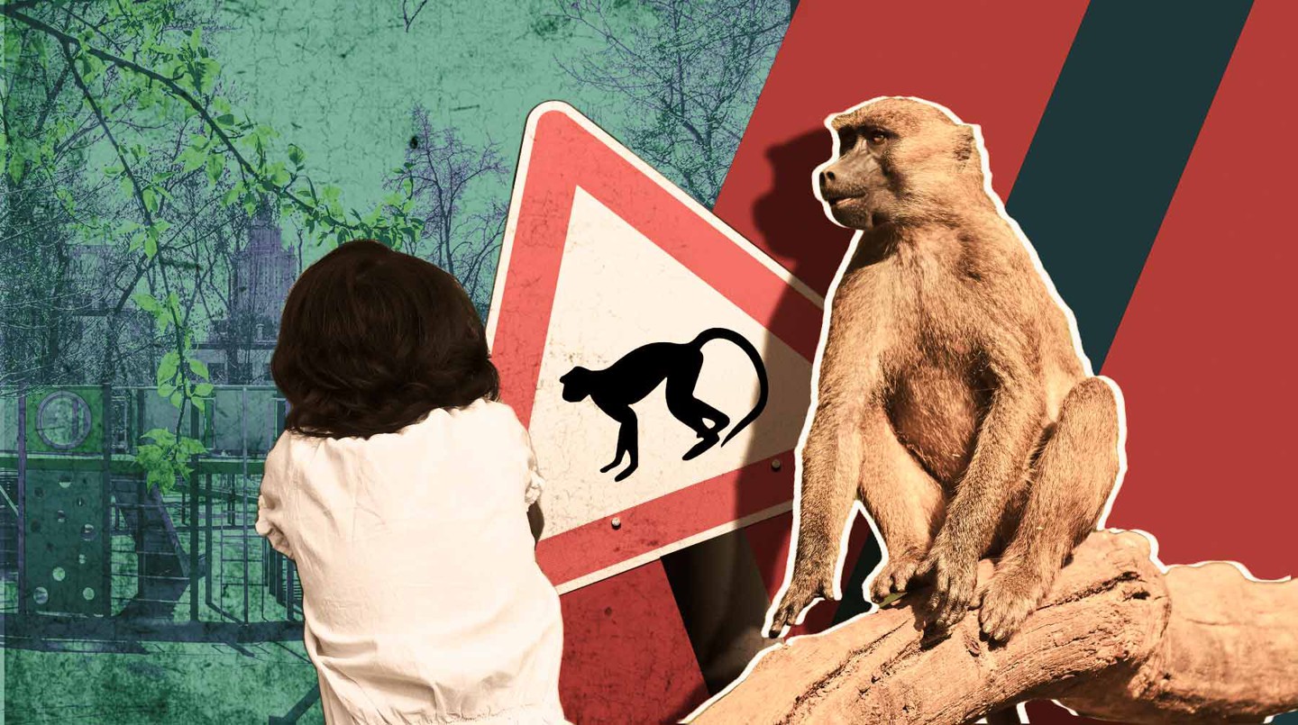 Помимо мартышки, в частном зоопарке живут волки, павлины и крупные собаки Коллаж: Daily Storm