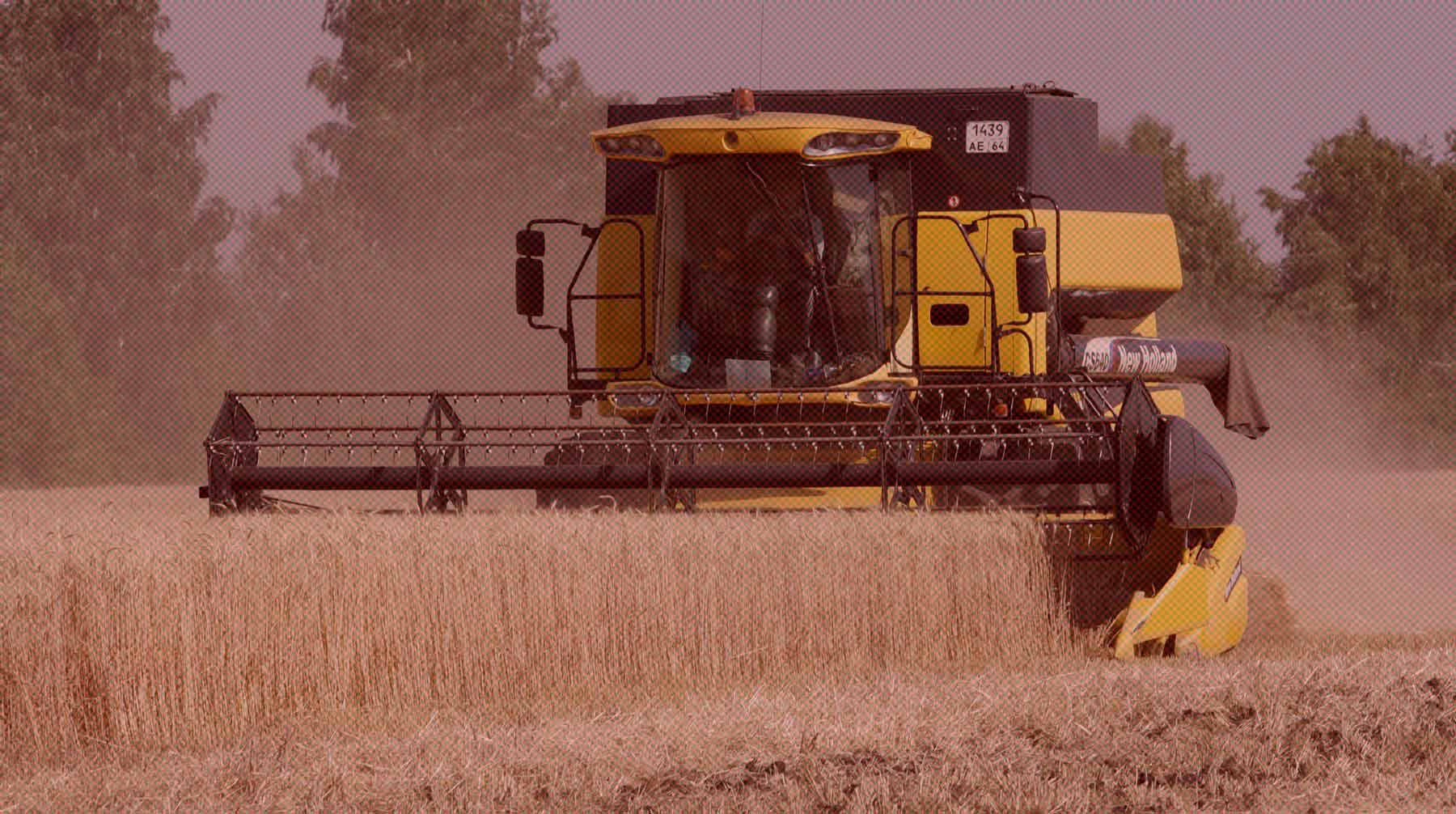 Dailystorm - В Российском зерновом союзе указали на проблемы отечественных фермеров из-за сделки по вывозу пшеницы из Одессы