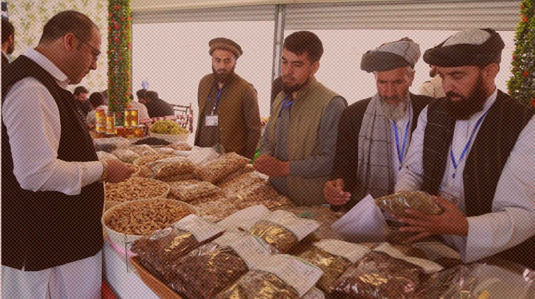 Афганистан предлагает России изюм и травы в обмен на нефтепродукты