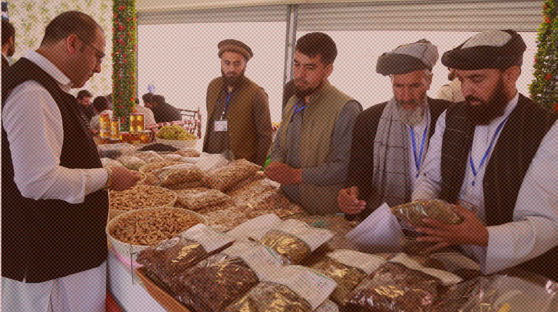 По словам главы афганского Минпромторга, РФ может использовать травы в медицине Фото: Global Look Press / Rahmatullah Alizadah