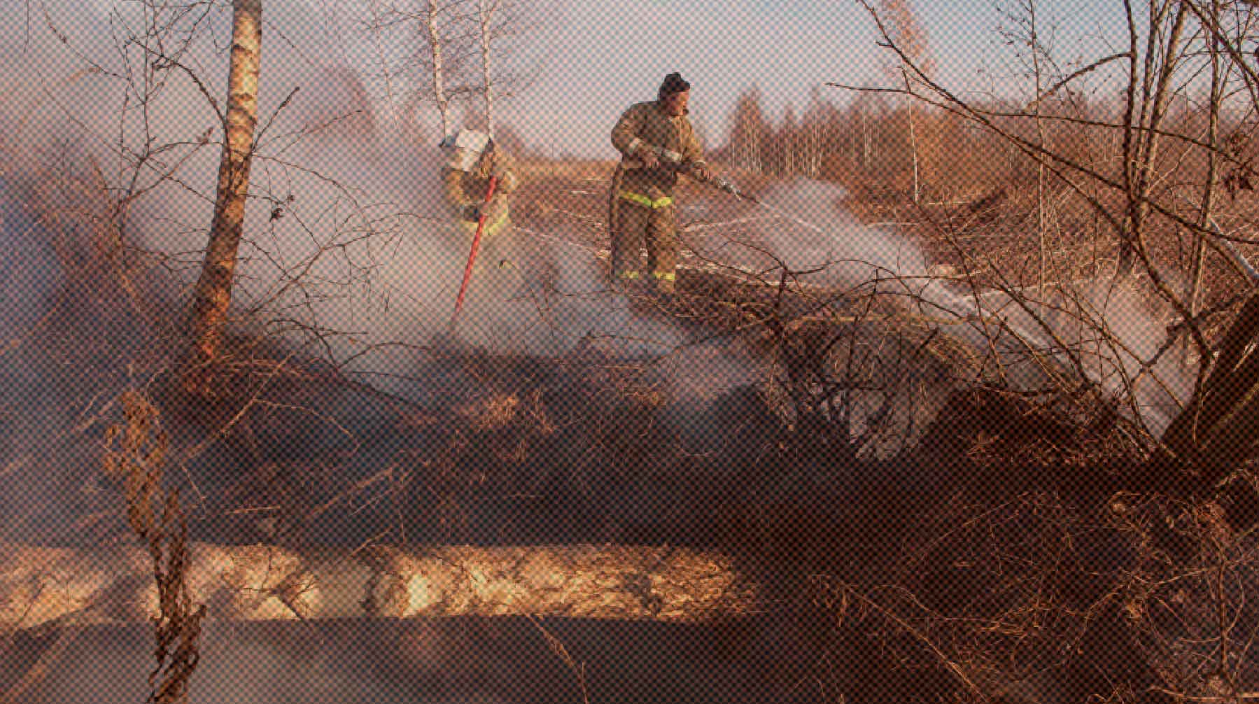 Сейчас в Московской области действуют 12 очагов возгораний, сообщили в МЧС Фото: РИА Новости / Игорь Подгорный