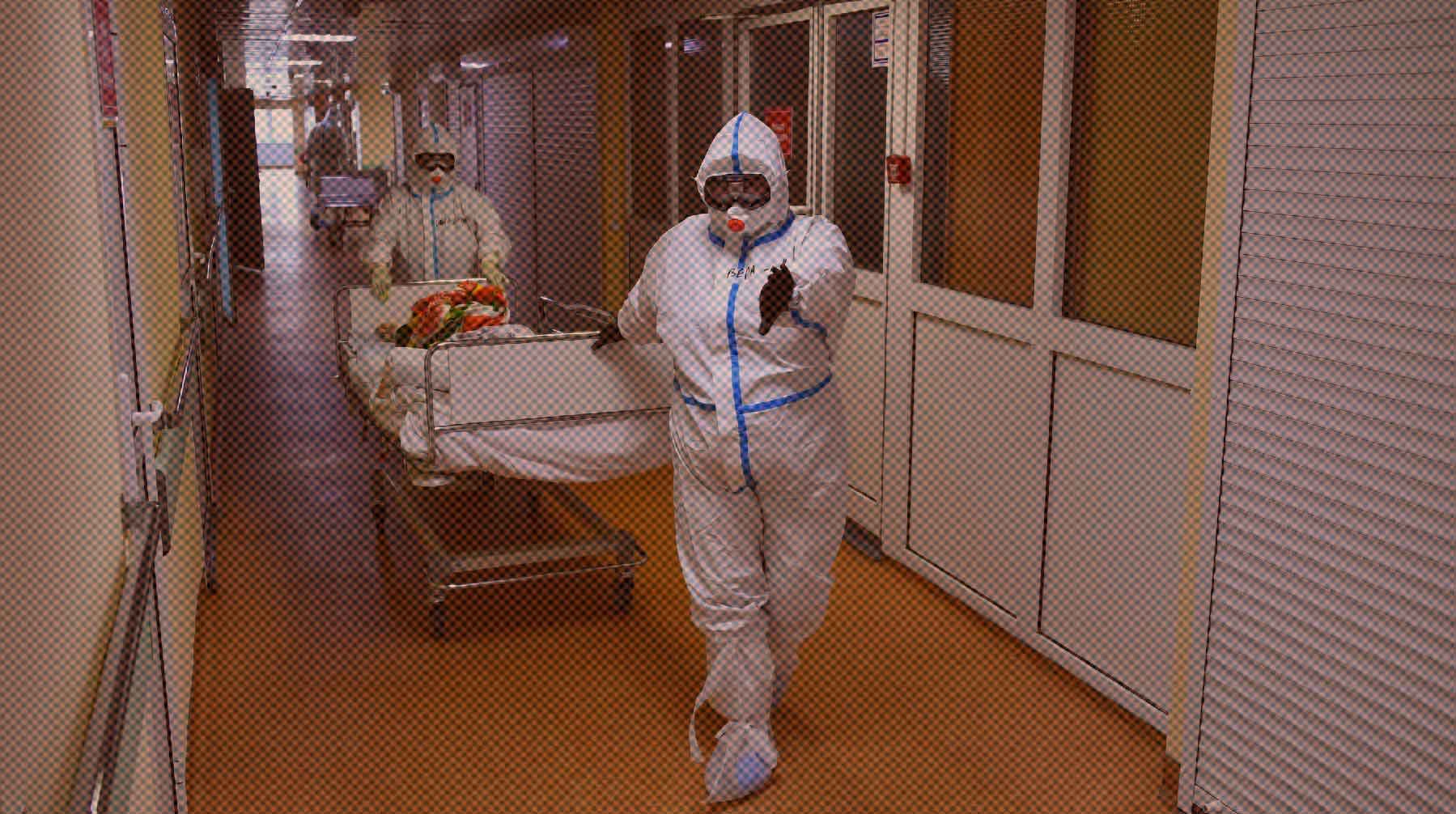Dailystorm - В России выявили штамм коронавируса «цербер»