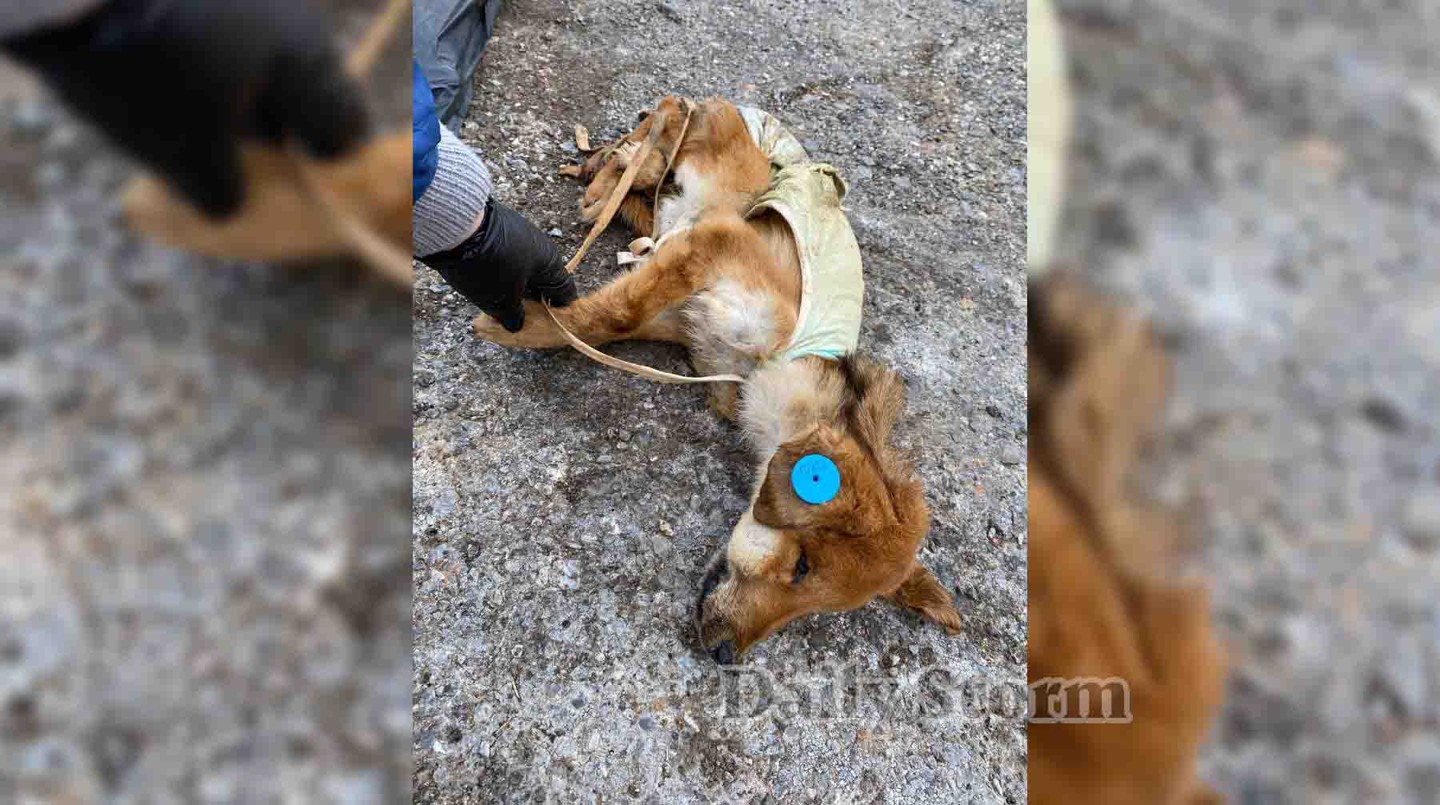 Фото из личного архива героя публикации