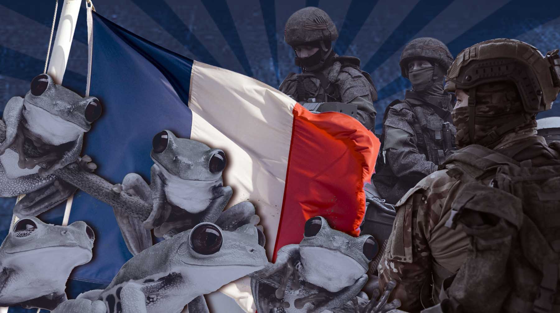 Dailystorm - Боятся ли прибытия французской армии в зону СВО российские солдаты?