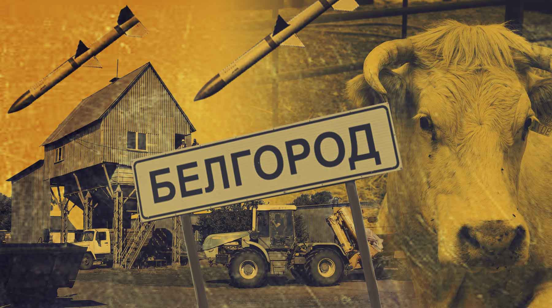 Dailystorm - Как выживает малый и средний бизнес под обстрелами в Белгородской области