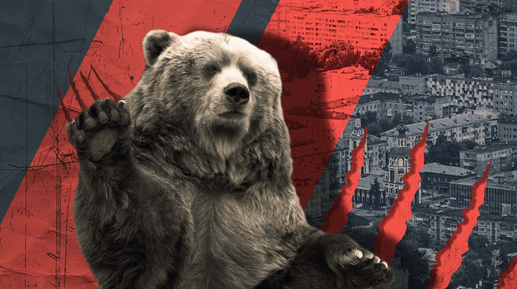 Стрелять нельзя, а людям страшно: в Калужской области пожаловались на нашествие медведей, один из которых уже загрыз человека