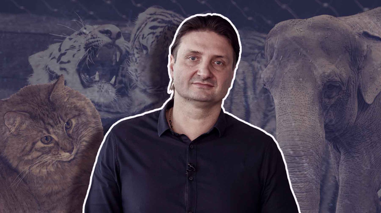 В Дагестане недавно нашли хвостатого героя уже среди домашних собратьев грозных хищников — кота по кличке Хатико Эдгард Запашный