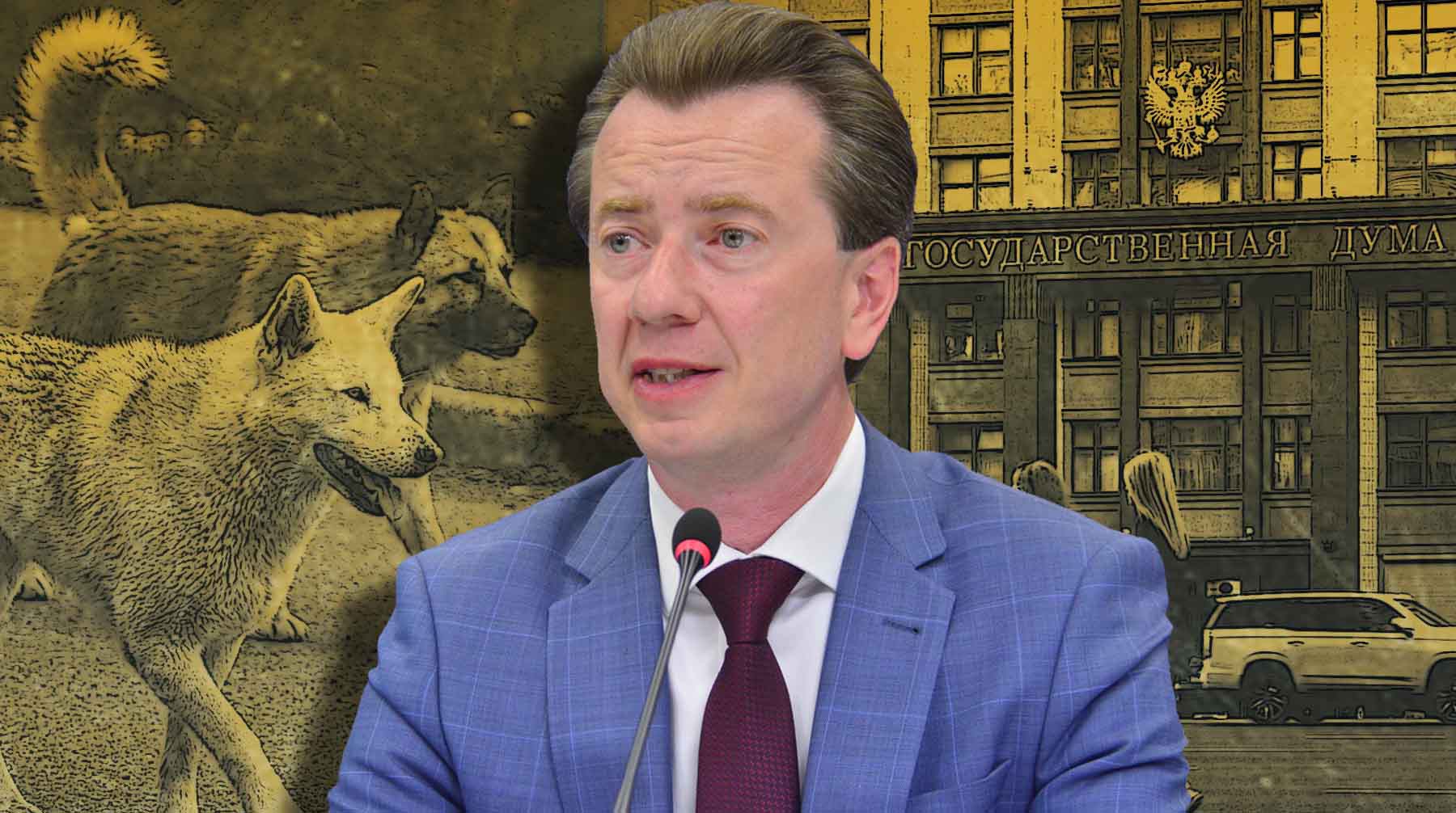 Dailystorm - Депутат Госдумы Бурматов пристыдил коллегу Арефьева, заявившего о готовности «сжечь всех собачников»