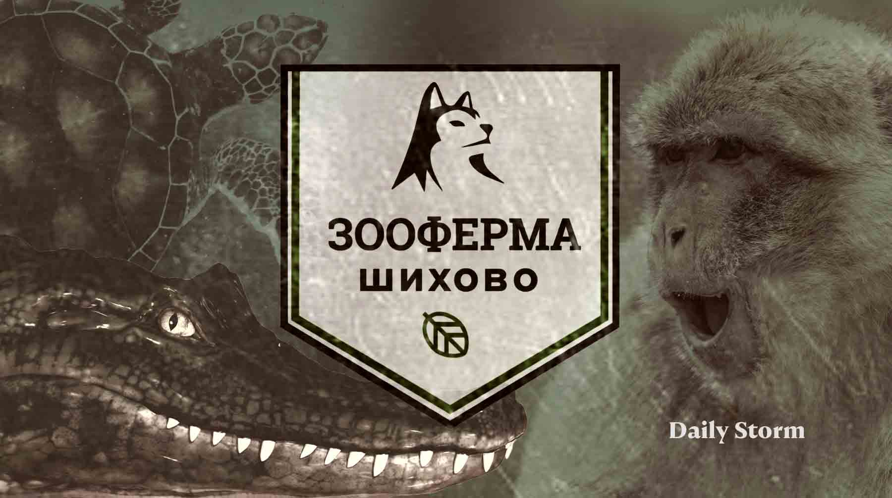 Зооферме в Дмитрове не хватает генераторов и средств на топливо, чтобы согреть своих питомцев Коллаж: Daily Storm