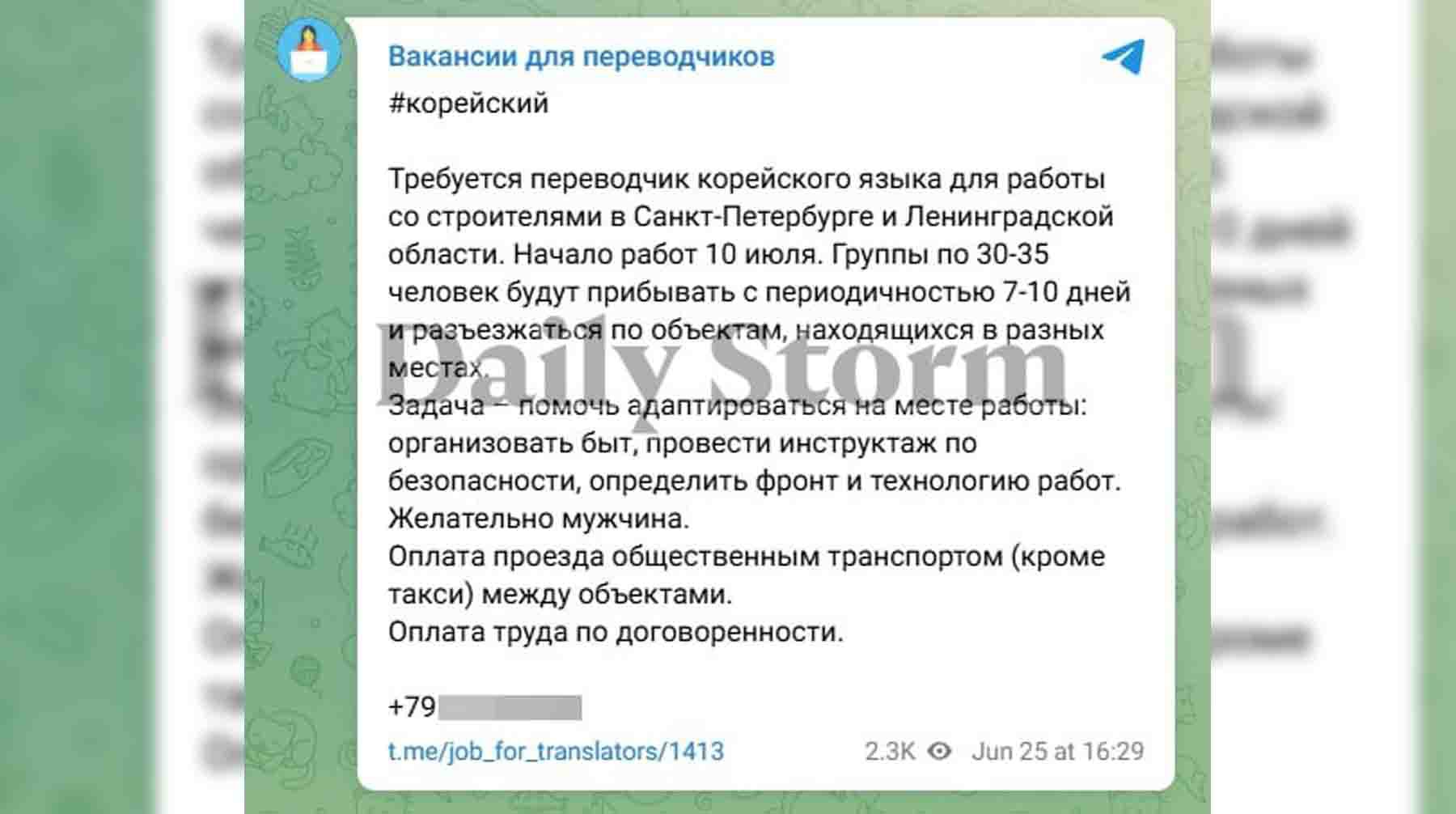 Скриншот: Daily Storm