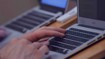 МВД разыскивает создателей чат-бота, призывающего голосовать за «Единую Россию» в Новосибирской области