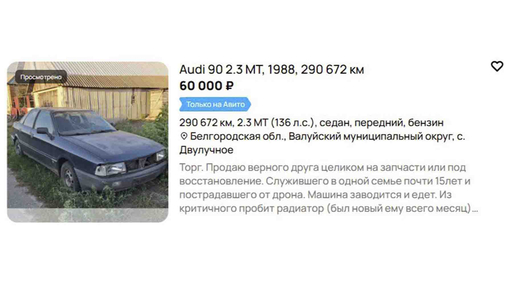Скриншот: Daily Storm