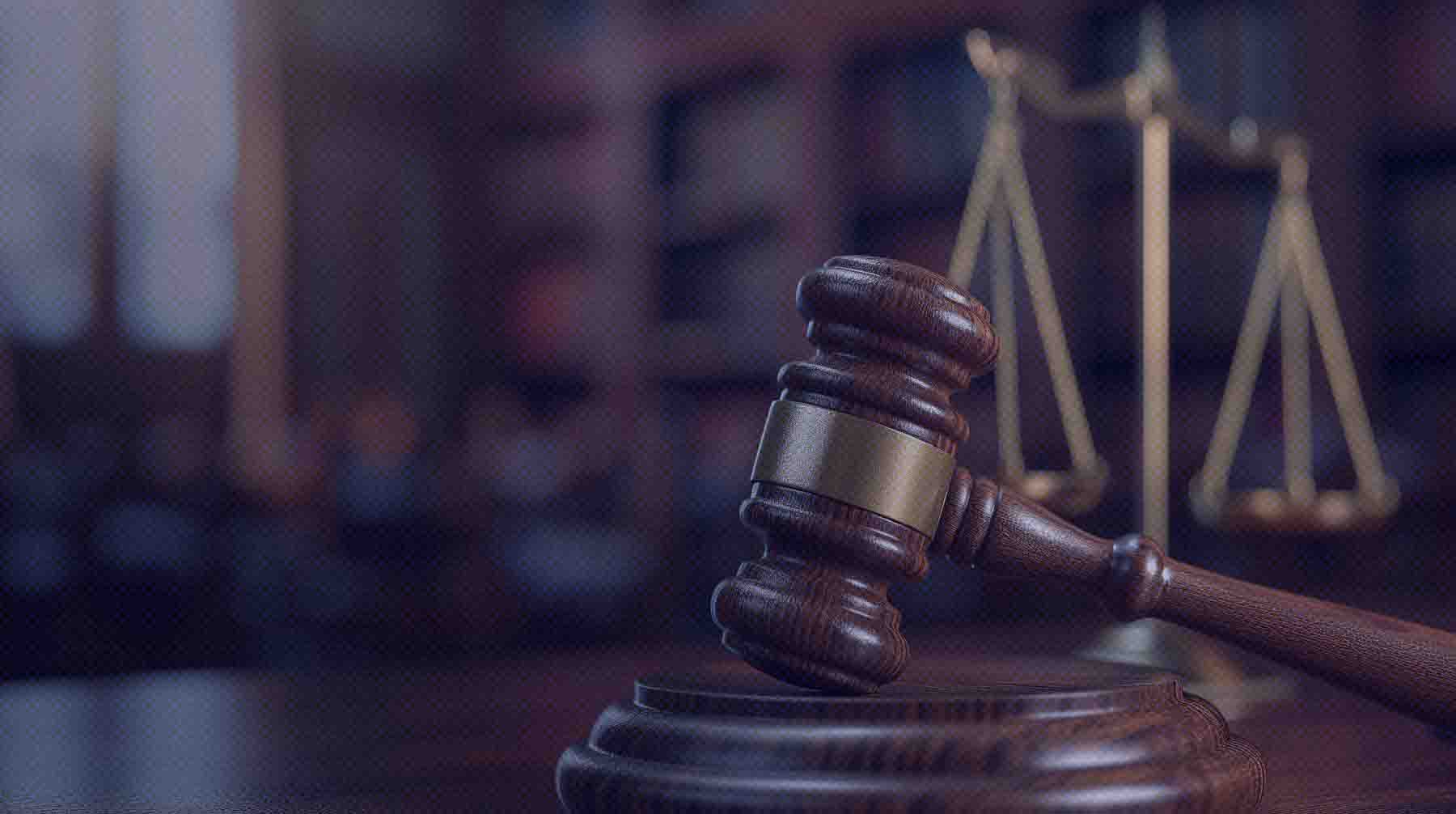 Депутаты готовы внести поправки к КоАП, если оштрафуют невиновного или госорганы сочтут формулировки неясными Фото: Global Look Press / Погиба Александра