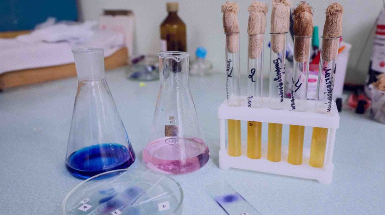 Создатель российской суперпрограммы для химиков заявил о любви к украинским ученым