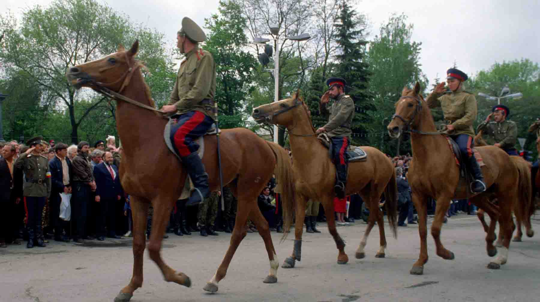 Донские казаки