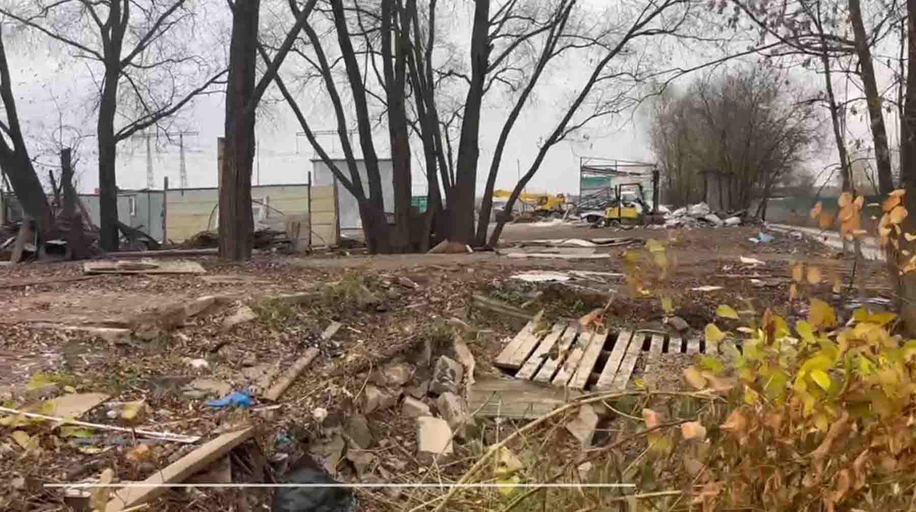 Скриншот: Daily Storm