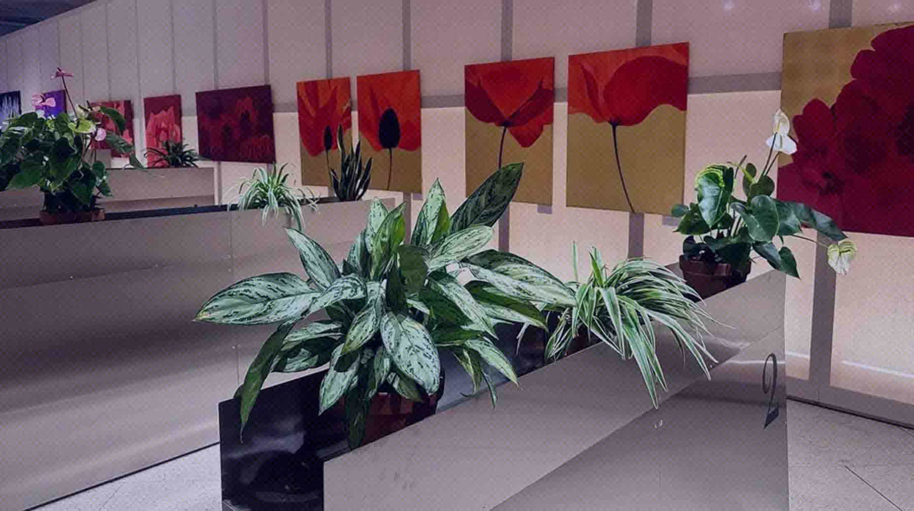 Здесь можно увидеть цветочные шедевры Фото: Биокластер