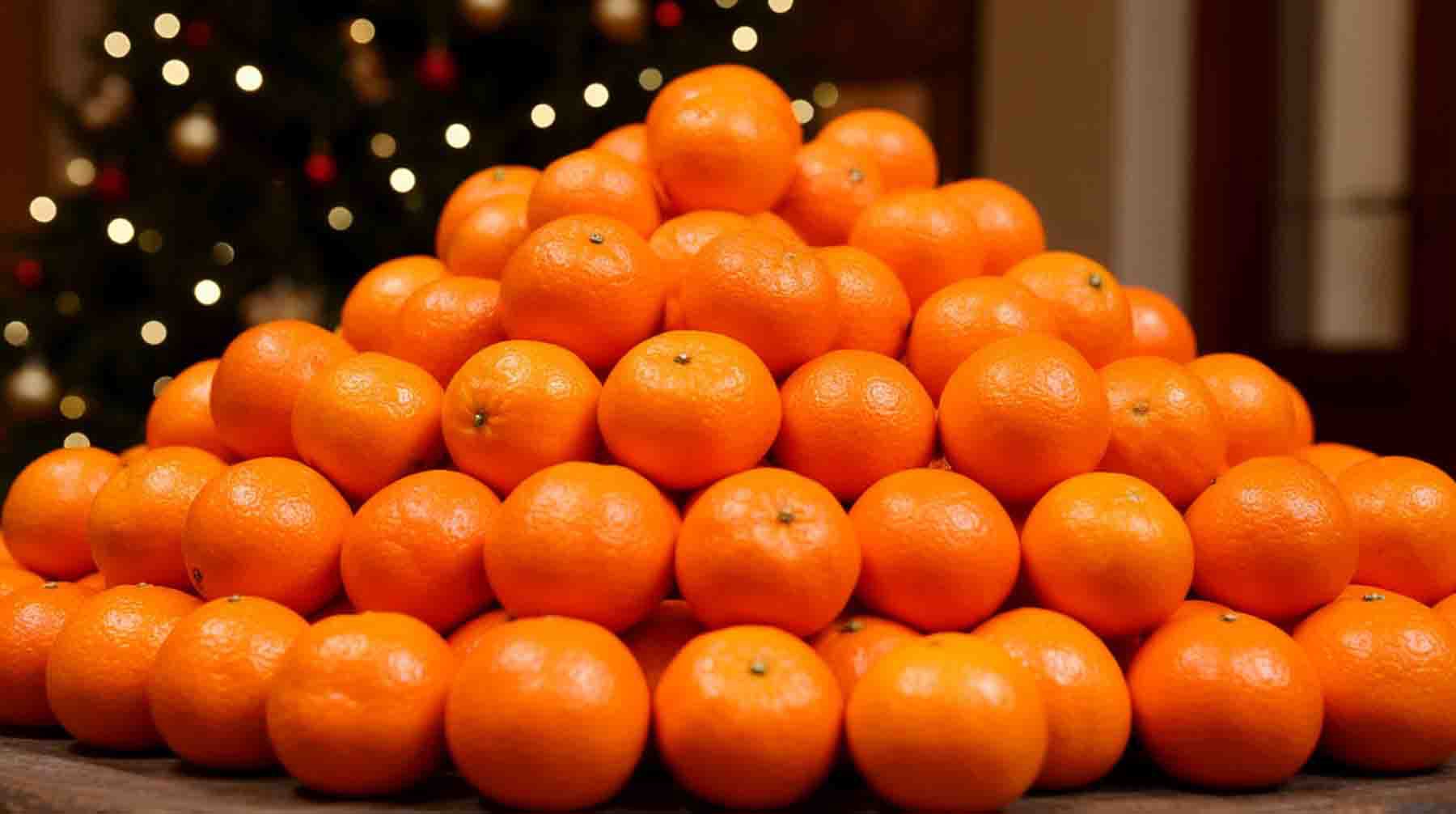 Фото: Нейросеть