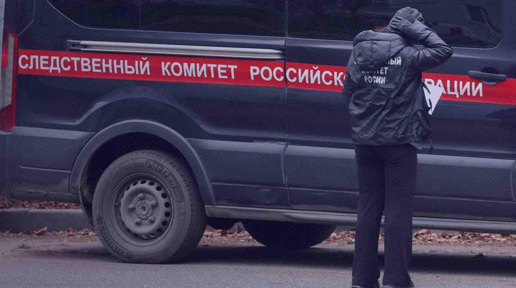 В СК заявили, что к убийству могут быть причастны украинские спецслужбы Фото: Global Look Press / Шатохина Наталья