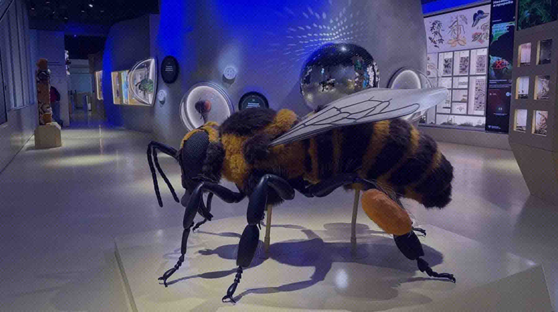 Там помогают побороть страх перед насекомыми Фото: Депкульт