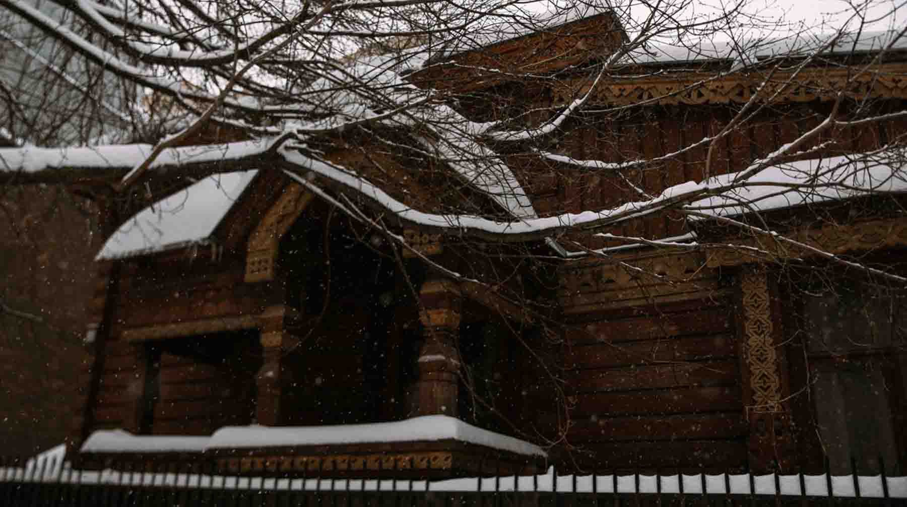 Фото: Daily Storm / Алена Сивкова