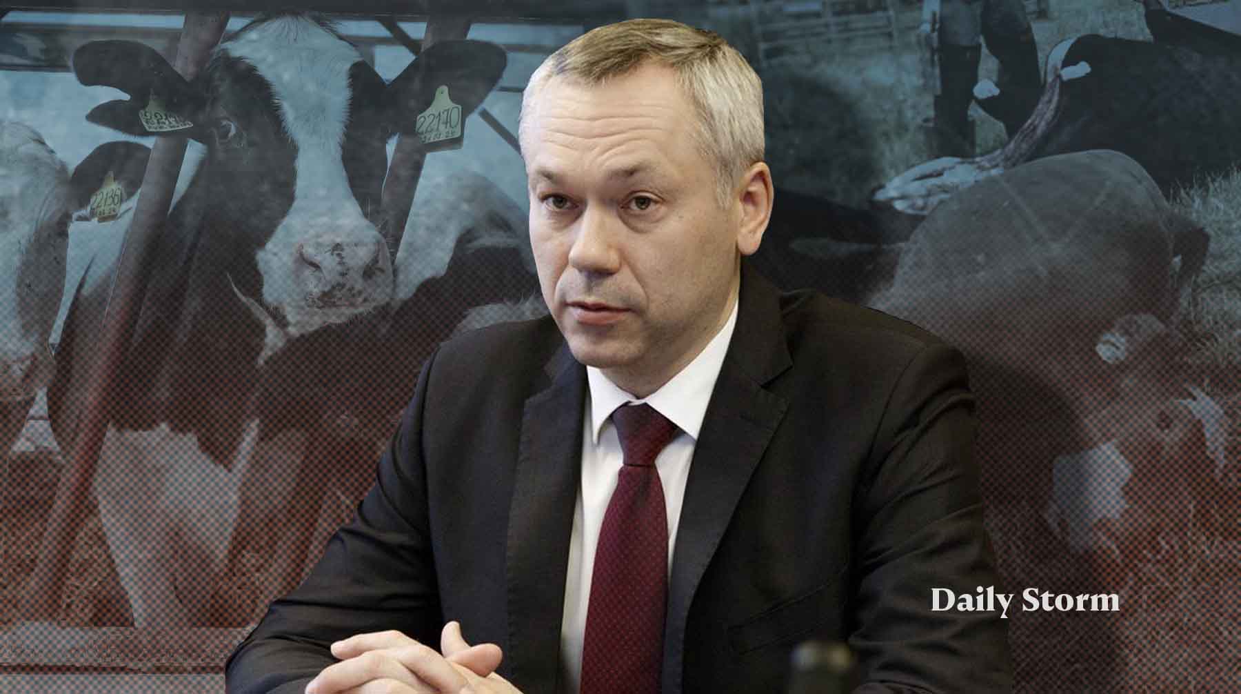 Андрей Травников только 19 марта подробно прокомментировал массовый забой животных и объяснил, как будут выплачивать компенсации Коллаж: Daily Storm