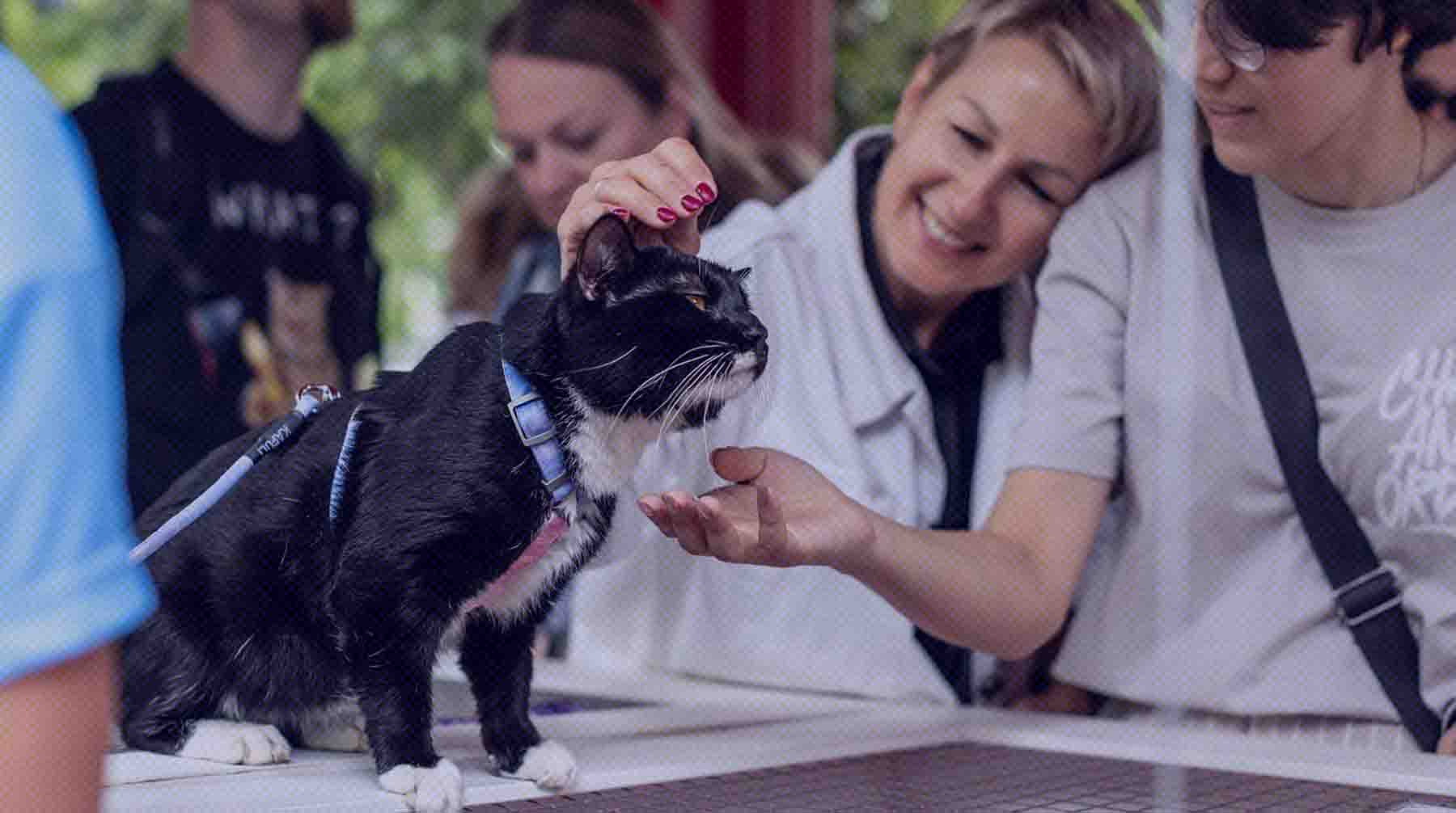 Праздник пройдет с 16 по 19 апреля на Тверском бульваре Фото: Mos.ru