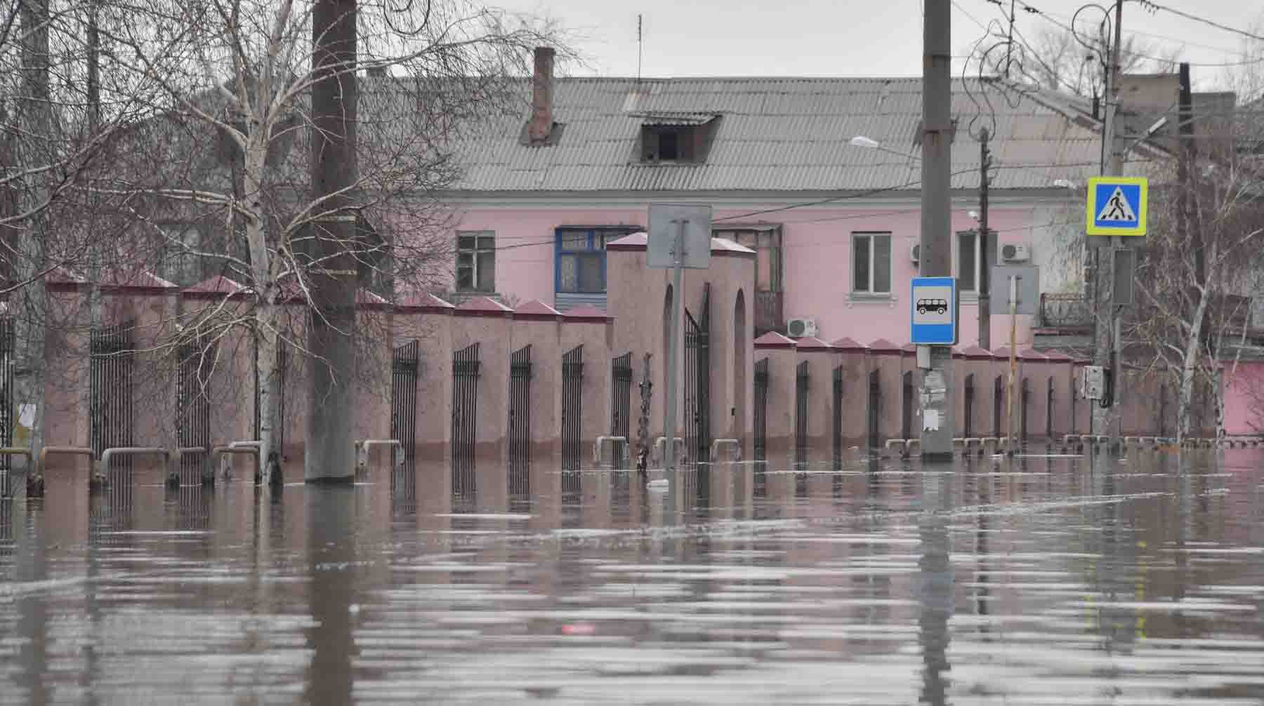 Фото: Global Look Press / Комсомольская правда