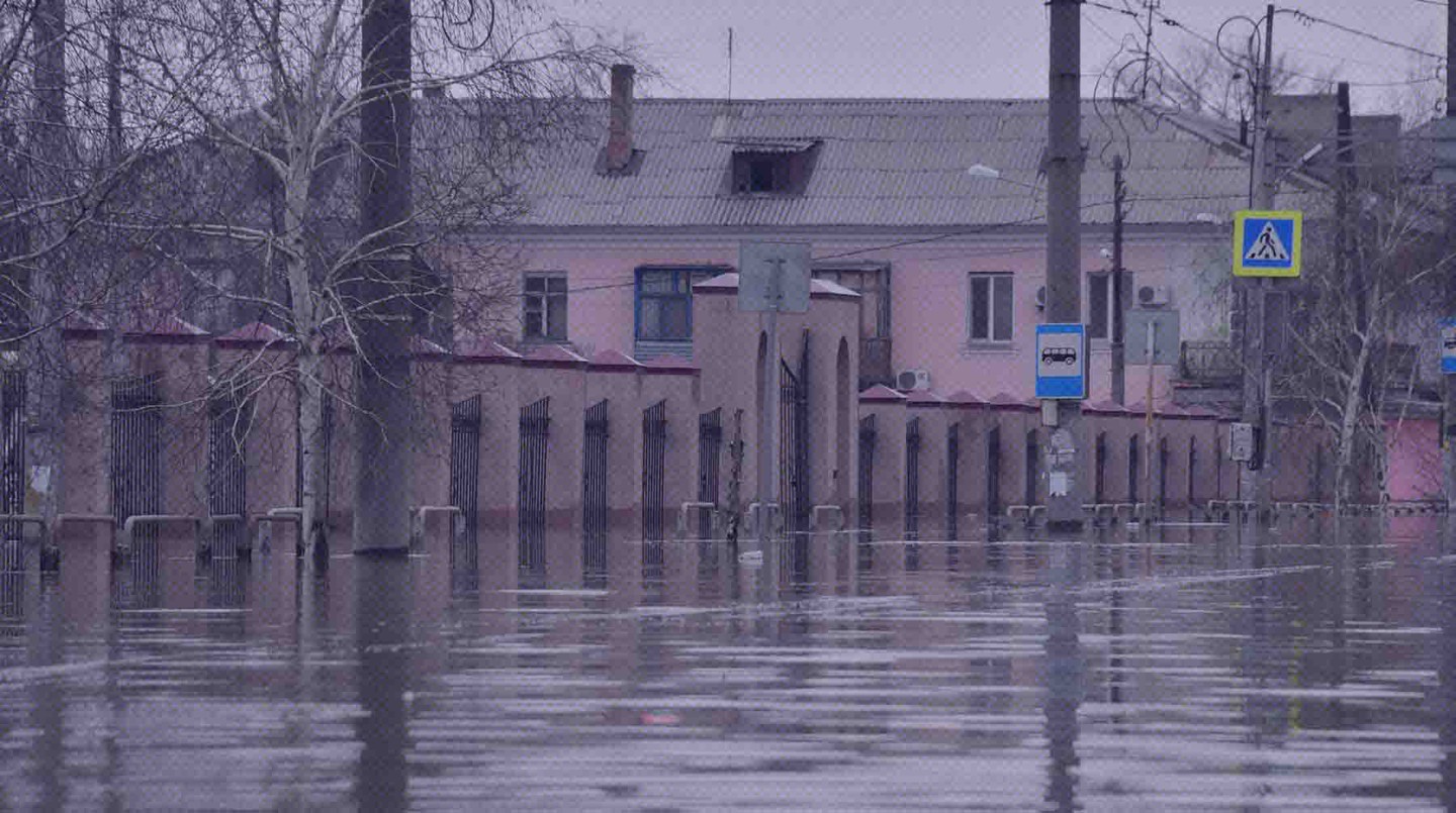 Фото: Global Look Press / Комсомольская правда