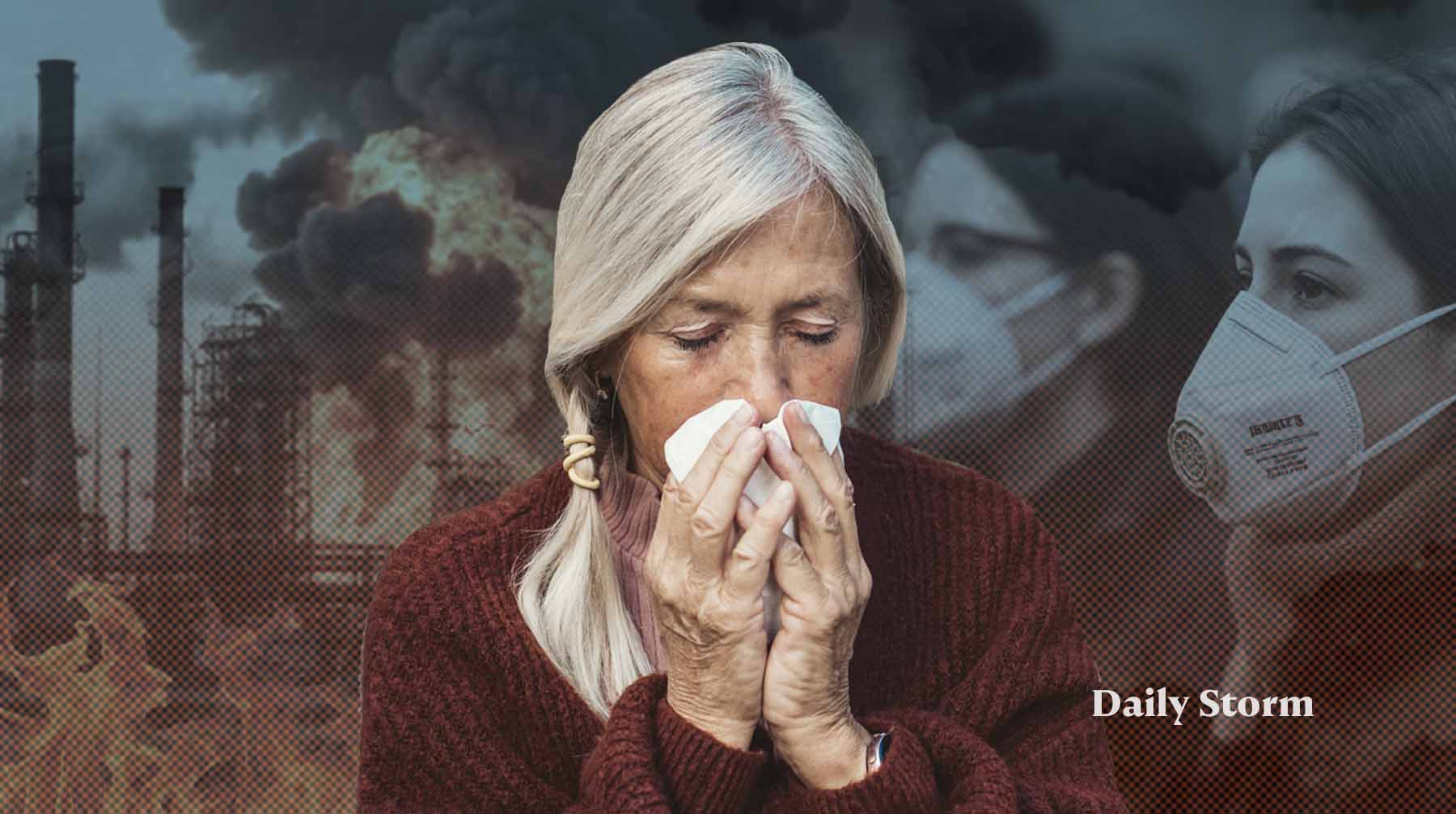 После мощного пожара добровольцы начали забирать с улиц пострадавших птиц и собак Коллаж: Daily Storm