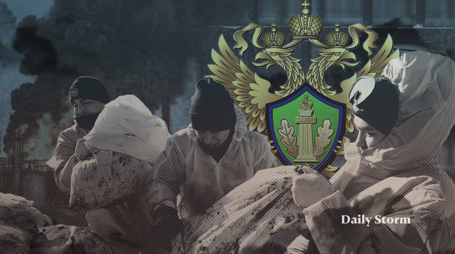 Член общественного совета Владислав Жуков призвал не паниковать из-за разлива нефти Коллаж: Daily Storm