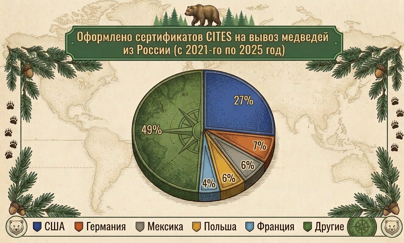 Инфографика: Daily Storm, нейросети